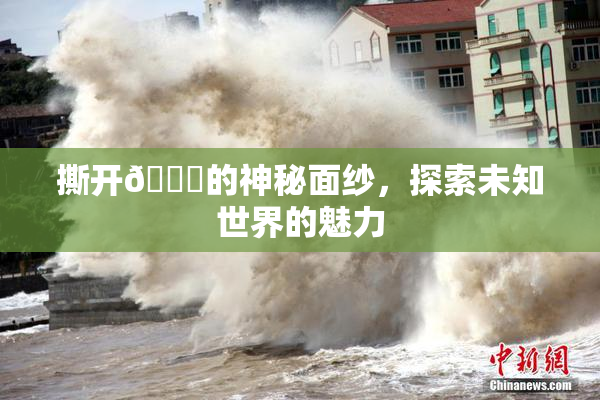 撕开👙的神秘面纱，探索未知世界的魅力