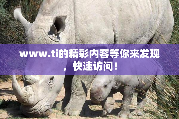 www.ti的精彩内容等你来发现，快速访问！