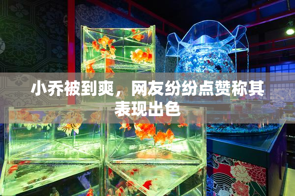 小乔被到爽，网友纷纷点赞称其表现出色