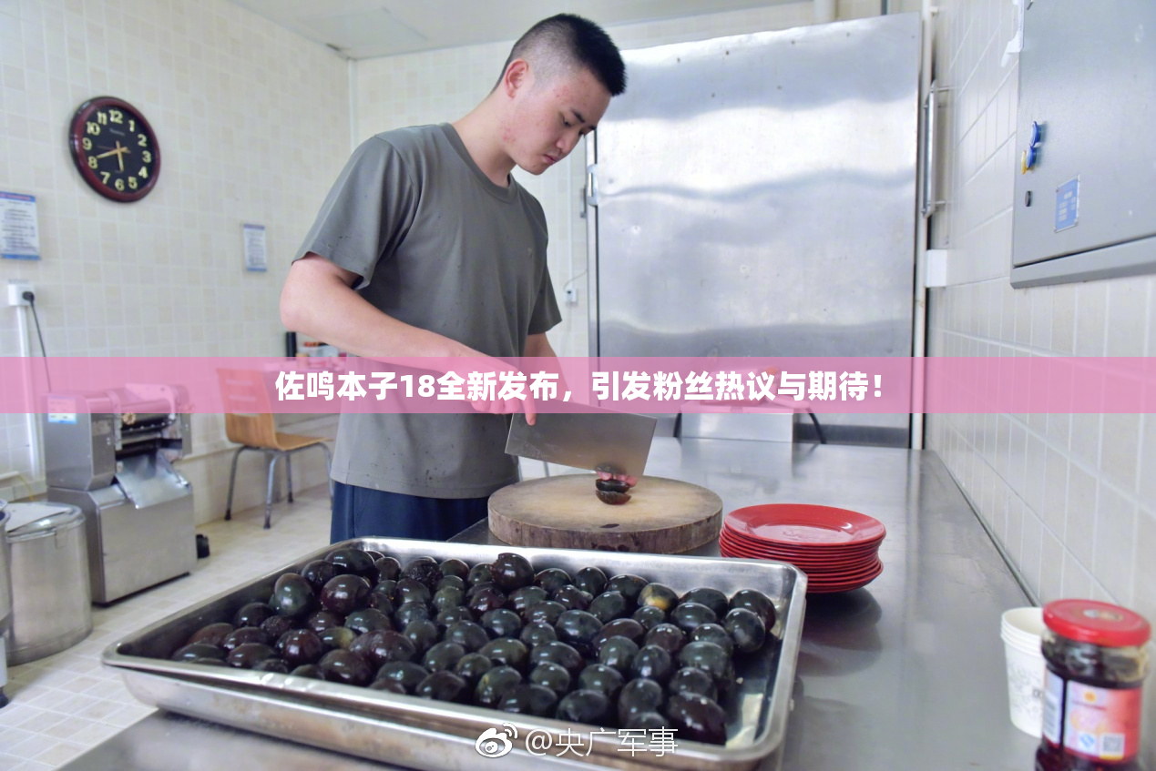 佐鸣本子18全新发布，引发粉丝热议与期待！