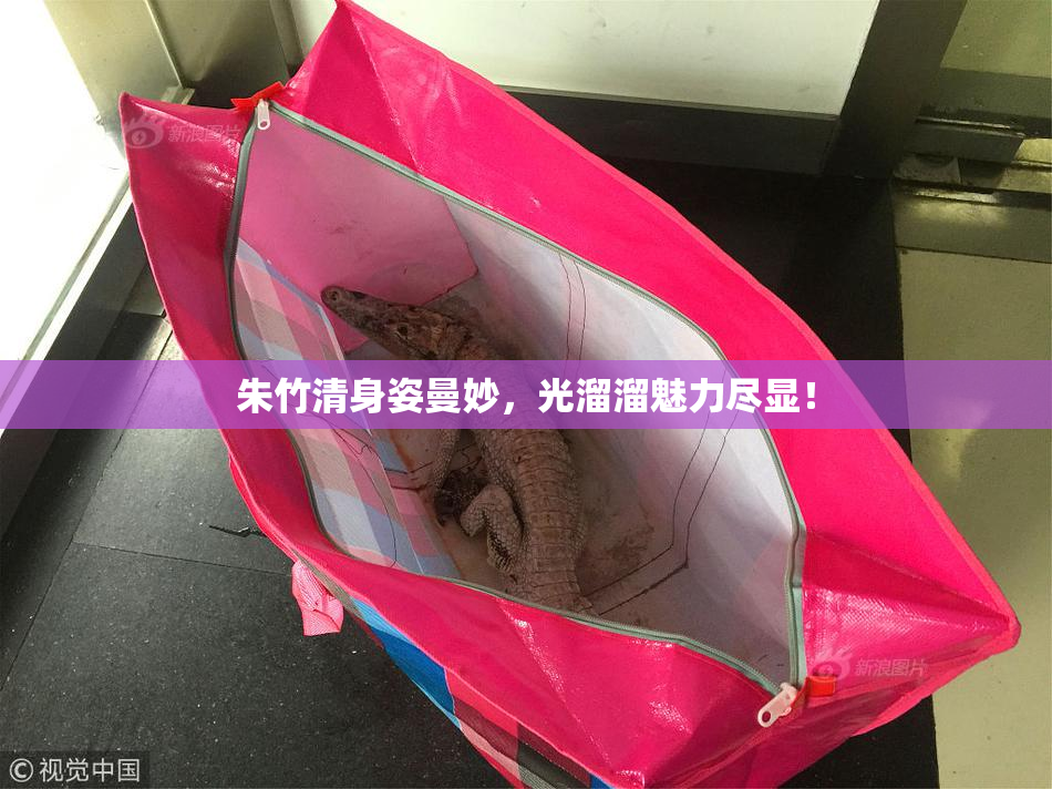 朱竹清身姿曼妙，光溜溜魅力尽显！