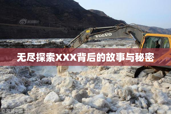 无尽探索XXX背后的故事与秘密