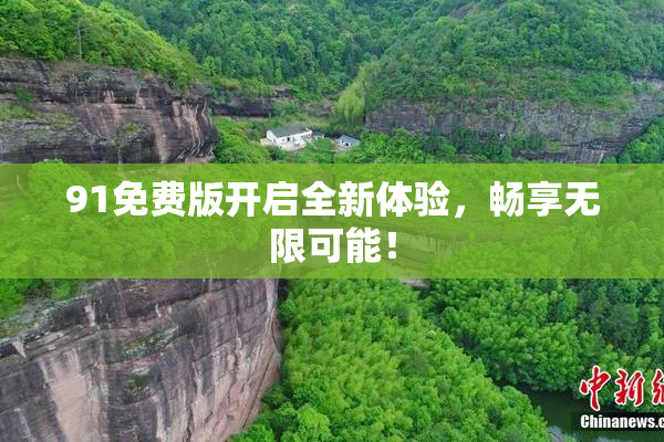 91免费版开启全新体验，畅享无限可能！