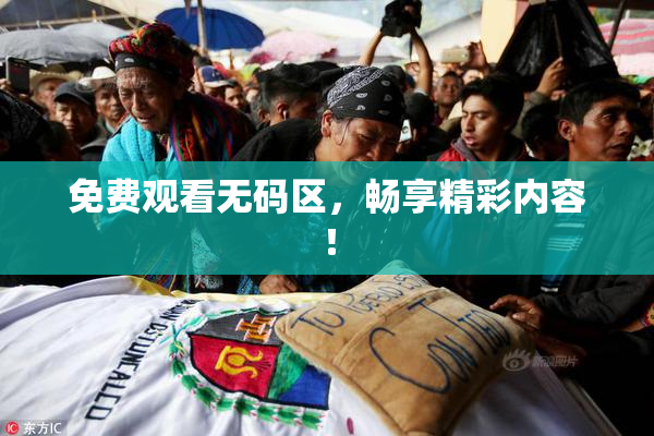 免费观看无码区，畅享精彩内容！