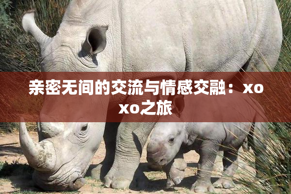亲密无间的交流与情感交融：xoxo之旅