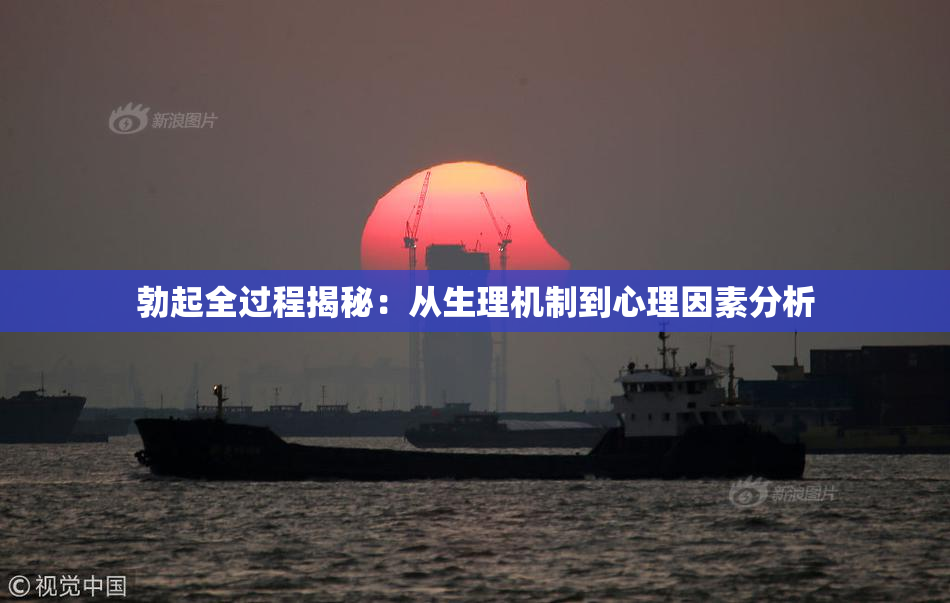 勃起全过程揭秘：从生理机制到心理因素分析