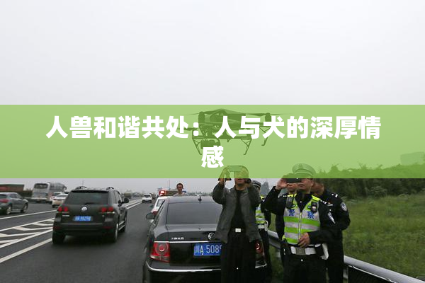 人兽和谐共处：人与犬的深厚情感