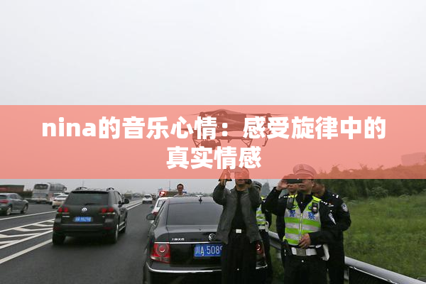 nina的音乐心情：感受旋律中的真实情感