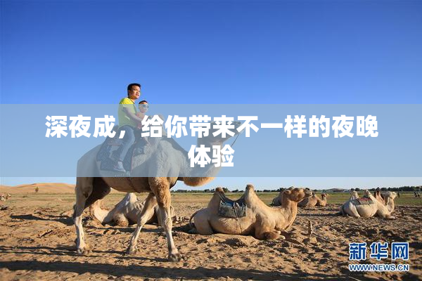 深夜成，给你带来不一样的夜晚体验