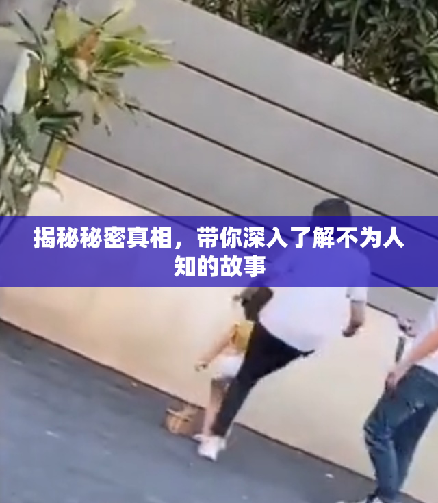 揭秘秘密真相，带你深入了解不为人知的故事
