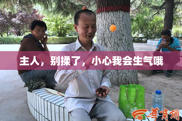 主人，别揉了，小心我会生气哦