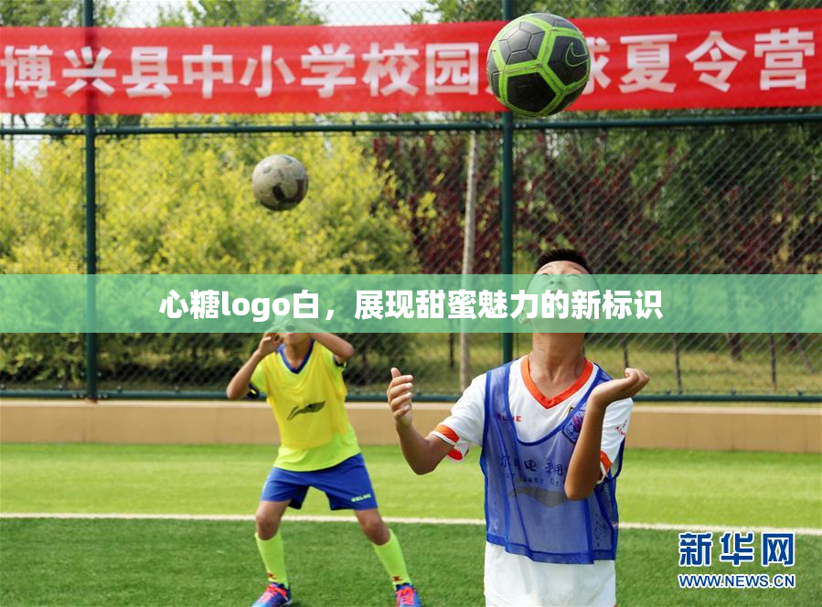 心糖logo白，展现甜蜜魅力的新标识