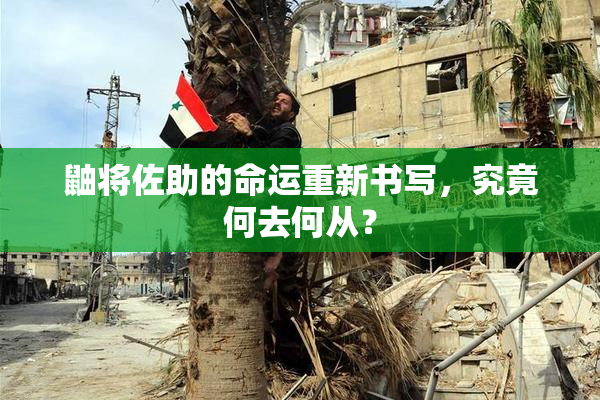 鼬将佐助的命运重新书写，究竟何去何从？