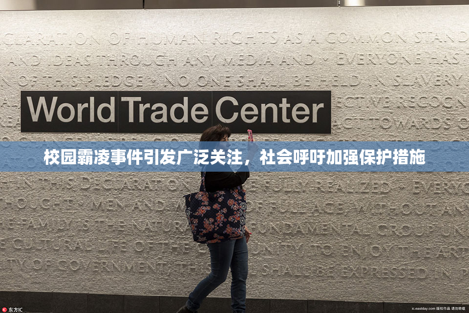 校园霸凌事件引发广泛关注，社会呼吁加强保护措施