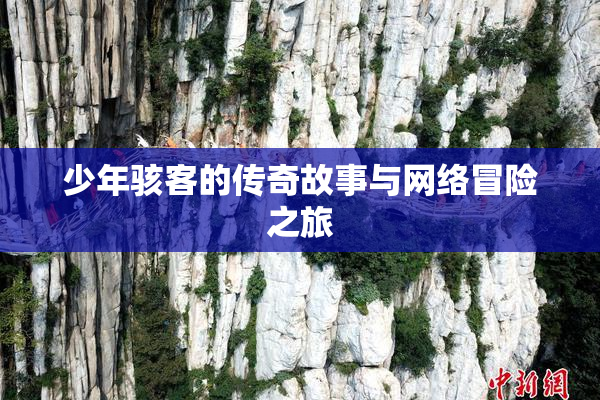 少年骇客的传奇故事与网络冒险之旅