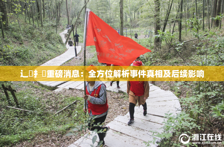 辶喿扌畐重磅消息：全方位解析事件真相及后续影响