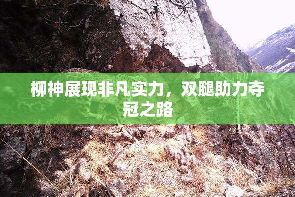 柳神展现非凡实力，双腿助力夺冠之路