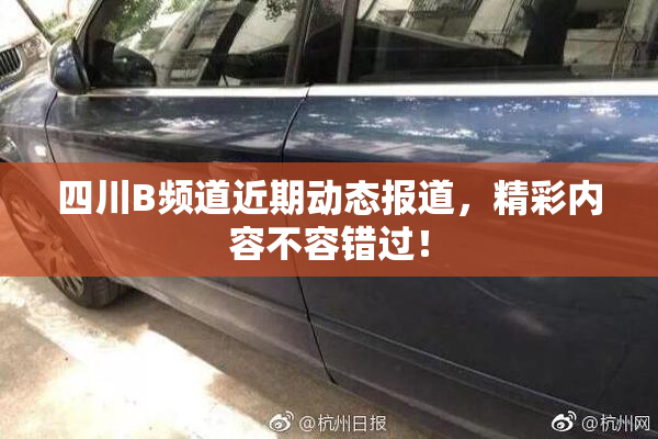 四川B频道近期动态报道，精彩内容不容错过！