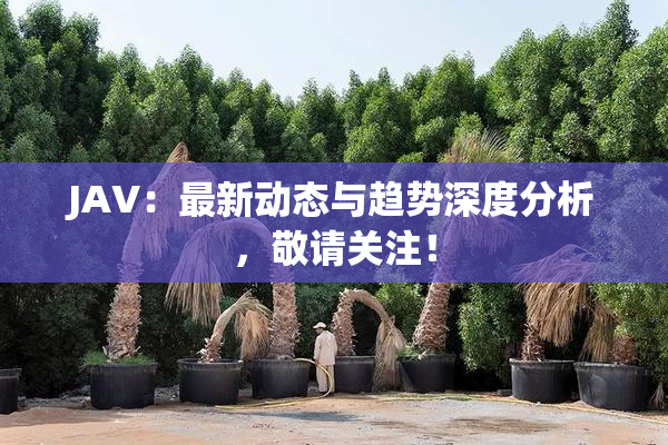 JAV：最新动态与趋势深度分析，敬请关注！