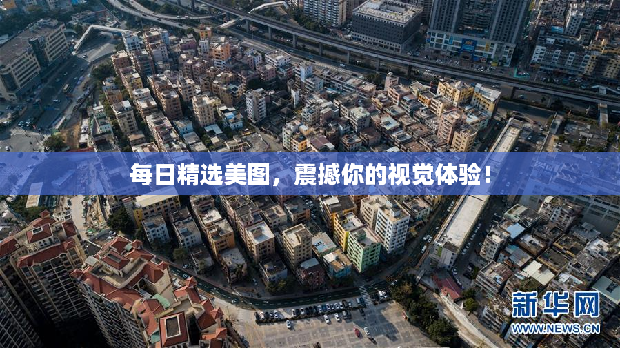 每日精选美图，震撼你的视觉体验！