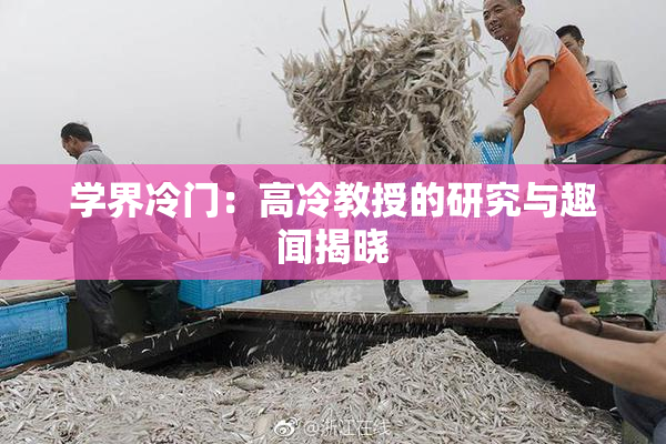 学界冷门：高冷教授的研究与趣闻揭晓