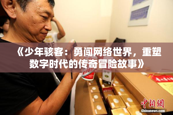 《少年骇客：勇闯网络世界，重塑数字时代的传奇冒险故事》