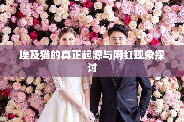 埃及猫的真正起源与网红现象探讨