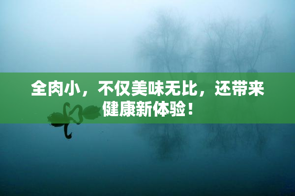 全肉小，不仅美味无比，还带来健康新体验！