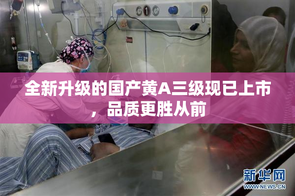全新升级的国产黄A三级现已上市，品质更胜从前