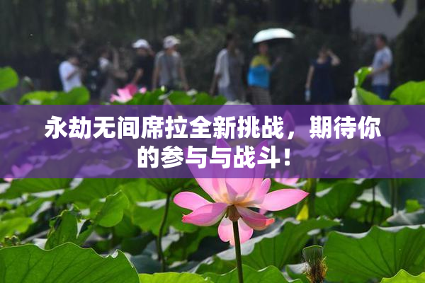 永劫无间席拉全新挑战，期待你的参与与战斗！
