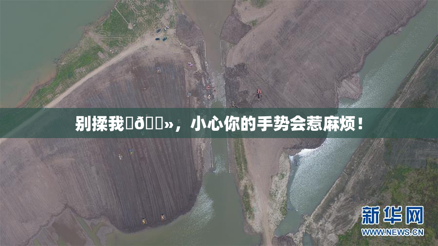 别揉我‌🐻，小心你的手势会惹麻烦！