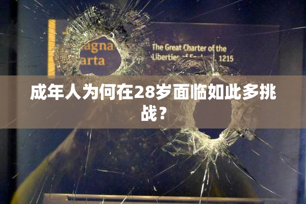 成年人为何在28岁面临如此多挑战？