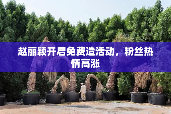 赵丽颖开启免费造活动，粉丝热情高涨