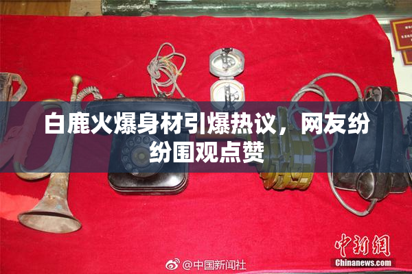 白鹿火爆身材引爆热议，网友纷纷围观点赞