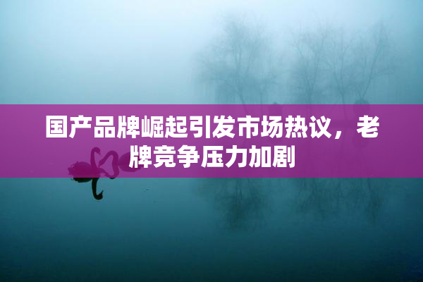 国产品牌崛起引发市场热议，老牌竞争压力加剧