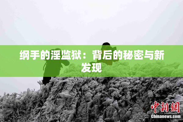 纲手的淫监狱：背后的秘密与新发现