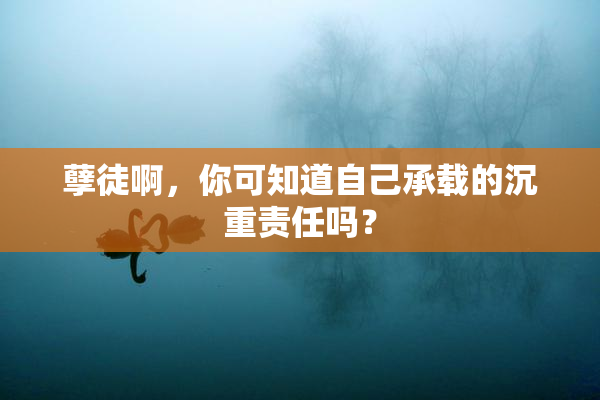 孽徒啊，你可知道自己承载的沉重责任吗？