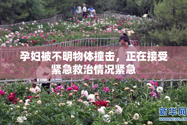 孕妇被不明物体撞击，正在接受紧急救治情况紧急