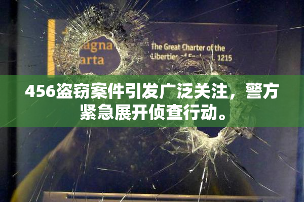 456盗窃案件引发广泛关注，警方紧急展开侦查行动。