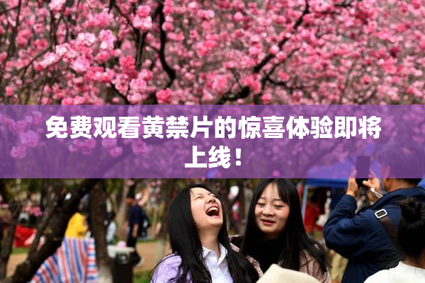 免费观看黄禁片的惊喜体验即将上线！