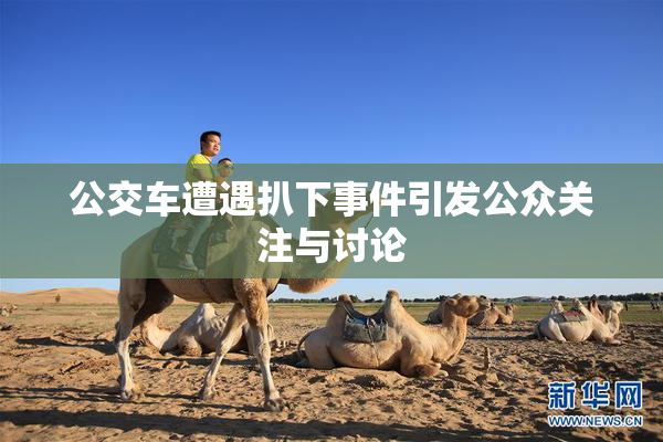 公交车遭遇扒下事件引发公众关注与讨论