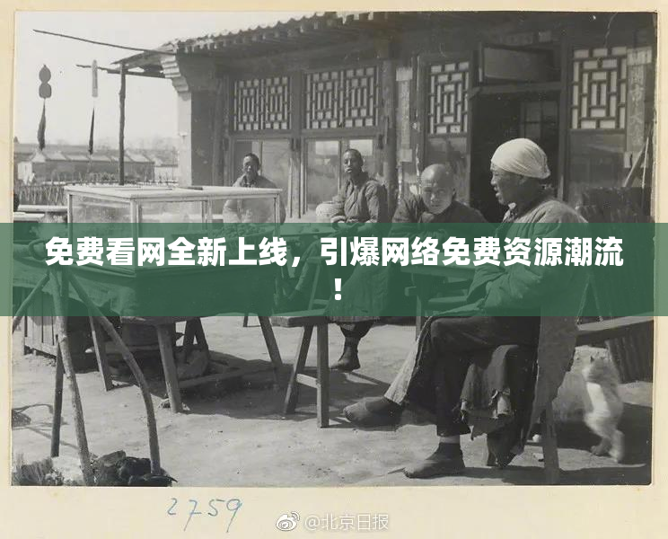 免费看网全新上线，引爆网络免费资源潮流！