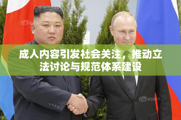 成人内容引发社会关注，推动立法讨论与规范体系建设