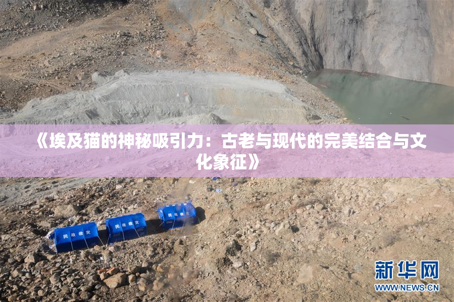 《埃及猫的神秘吸引力：古老与现代的完美结合与文化象征》
