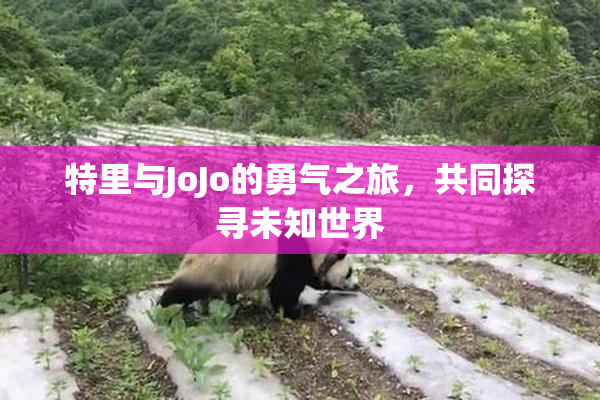 特里与JoJo的勇气之旅，共同探寻未知世界
