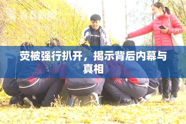 荧被强行扒开，揭示背后内幕与真相
