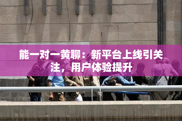 能一对一黄聊：新平台上线引关注，用户体验提升