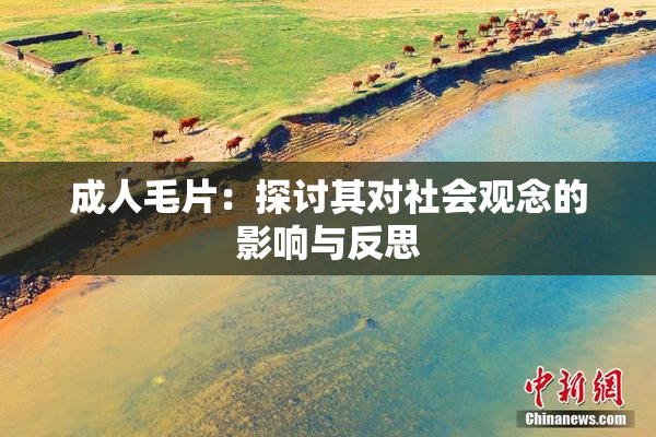 成人毛片：探讨其对社会观念的影响与反思