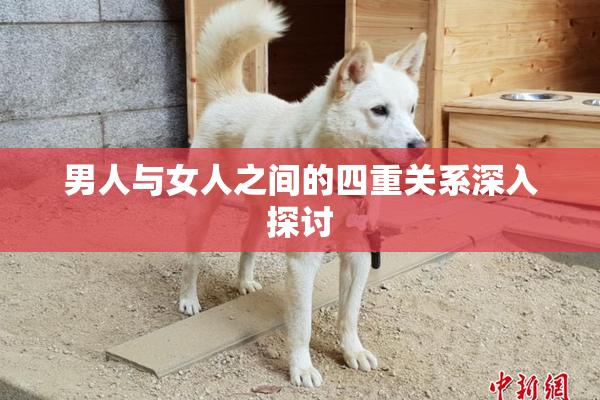 男人与女人之间的四重关系深入探讨