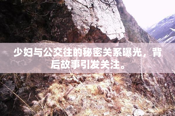 少妇与公交往的秘密关系曝光，背后故事引发关注。